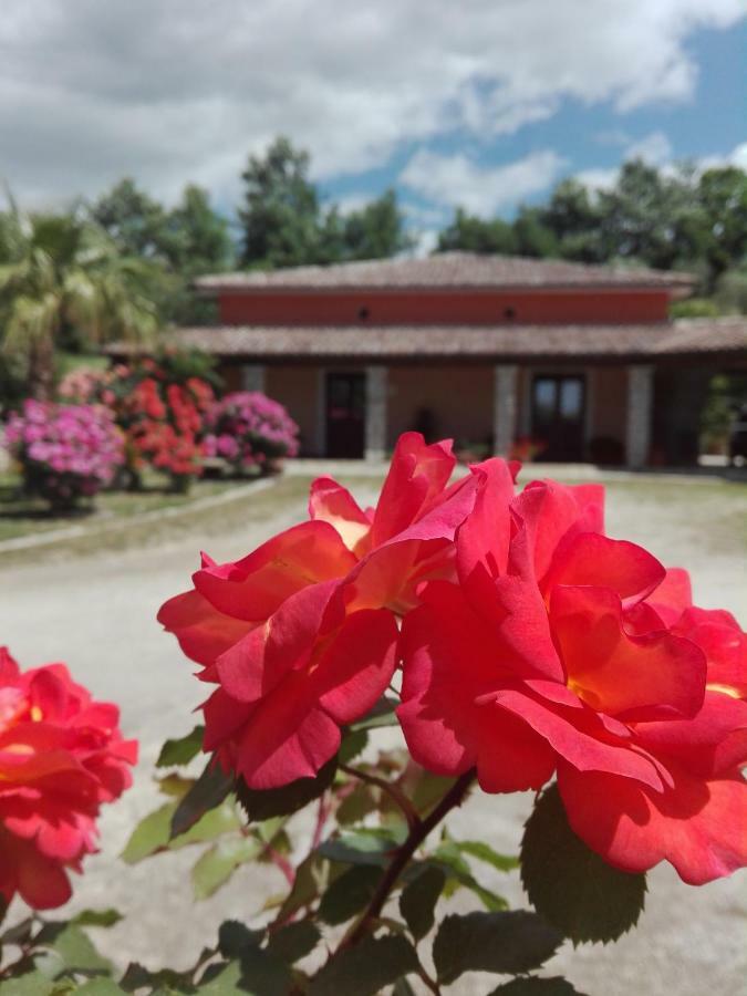Demetra Relais Villa Faicchio Eksteriør bilde